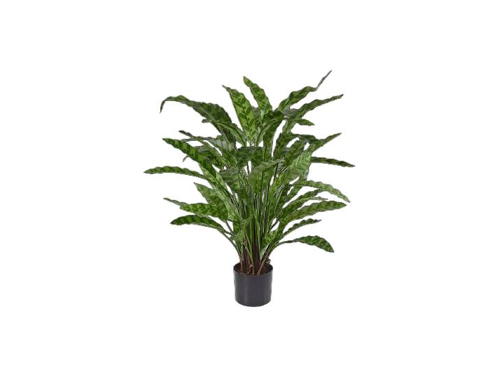 Lebensechte Kunstpflanze „Calathea Leopardina“, verschiedene Grössen Grün Baq Design