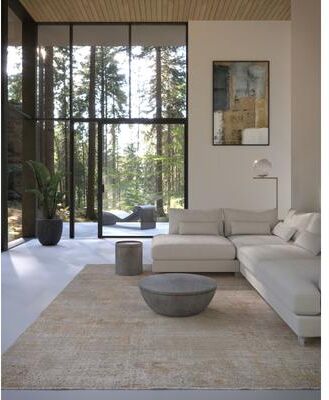 Momeni Morgan Traditional Abstract Polyester Area Rug