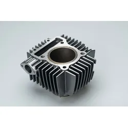 XPEAR Zylinder ZS190