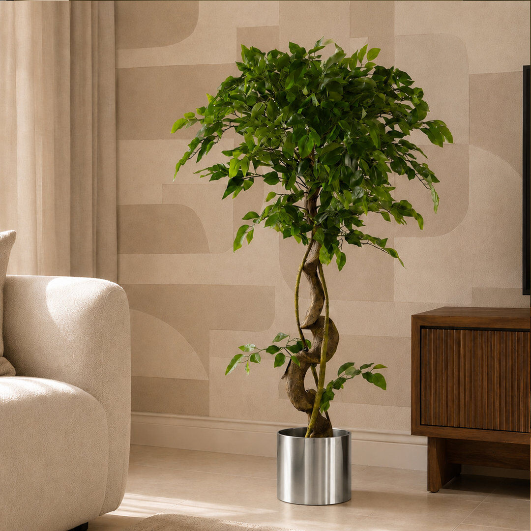 The Seasonal Aisle Faux Ficus Tree Plant Silver 120cm H x 40cm W x 40cm D