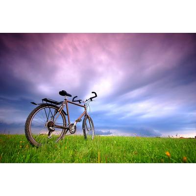 Papermoon "Fahrrad in Grünland"