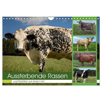 Aussterbende Rassen und Raritäten (Wandkalender 2027 DIN A4 quer), CALVENDO Monatskalender