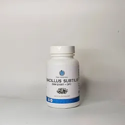 Bacillus subtilis Kapseln "extra stark" mit OPC (30 Stück) 30 Tage Packung - Mor...