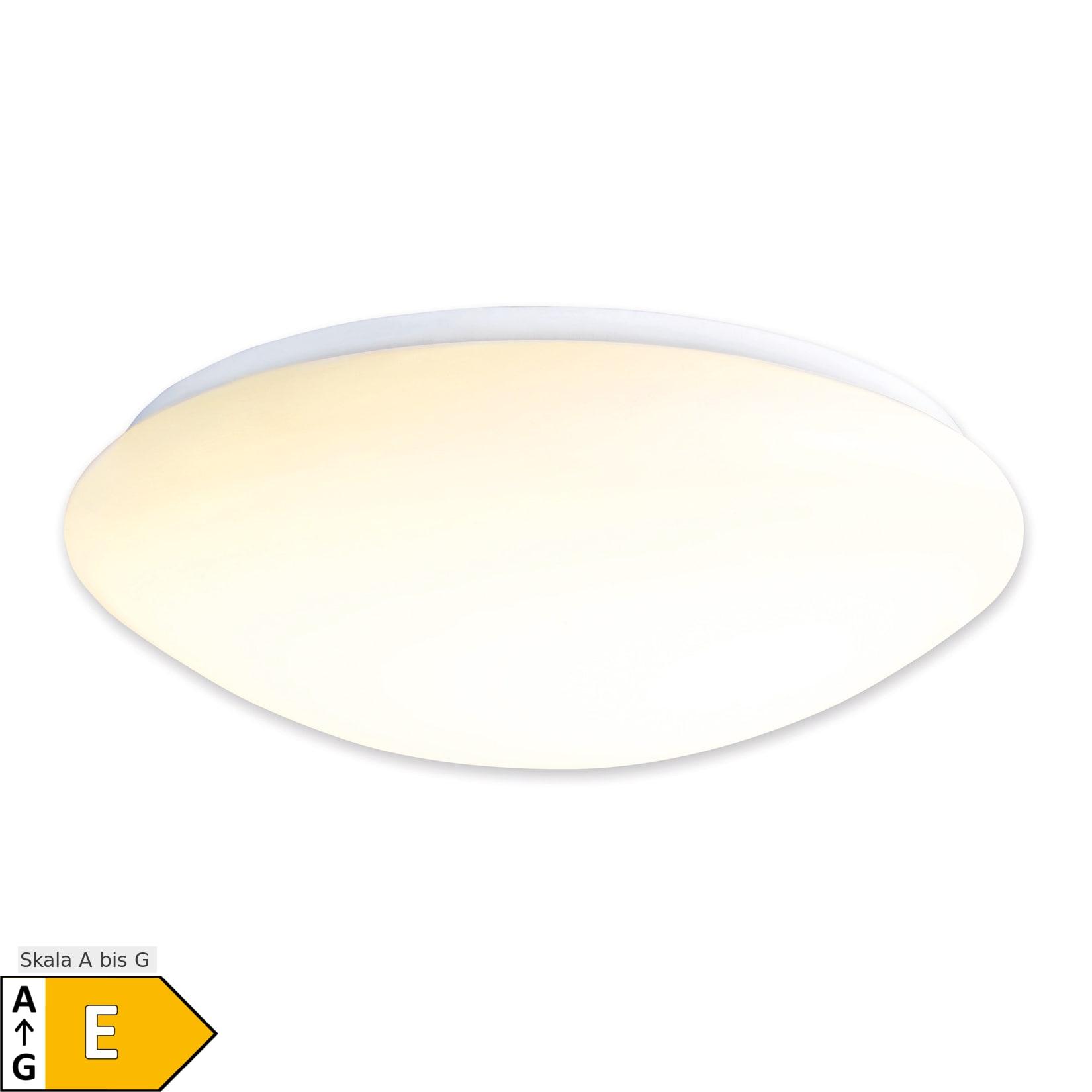 Näve LED Wand- / Deckenleuchte "DUBLIN"