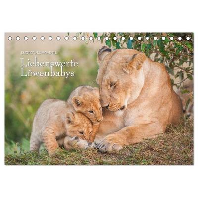 Emotionale Momente: Liebenswerte Löwenbabys / CH-Version (Tischkalender 2026 DIN A5 quer), CALVENDO Monatskalender