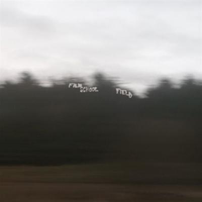 Field - Film School, Vinyl
