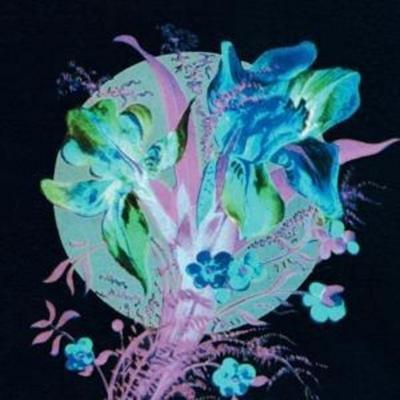 Karjalainen, H: Handful Of Dust Is A Desert - Hannu Karjalainen, CD