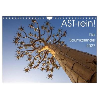 Astrein! - Der Baumkalender 2027 (Wandkalender 2027 DIN A4 quer), CALVENDO Monatskalender