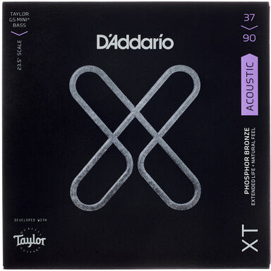 Daddario Light Acoustic Bass GS Mini