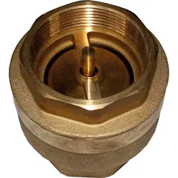 Wolf Rückschlagventil IG 2" PN10 2071483 für LS, SLS, FWS