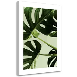 WANDBILD grüne monstera blätter