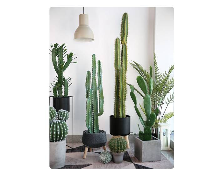 Grande Plante de Simulation de Bonsaï pour Décoration de Sol, Colonne Importale, Fenêtre, Salon