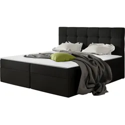 BOXBETT Nele - H3