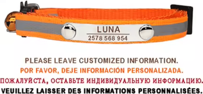 Inspire Curations SafeGlow Personalized Reflective Cat Collar c orange 7 12 Inch