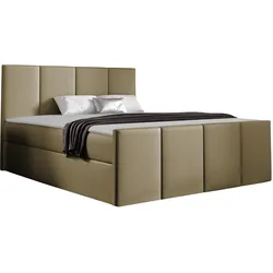 BOXBETT Lars - H3