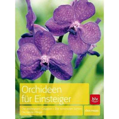 Orchideen für Einsteiger, Gebundene Ausgabe von Jörn Pinske, Blv, 978-3-8354-0838-8
