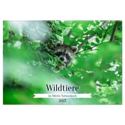 Wildtiere im Müritz-Nationalpark (Wandkalender 2027 DIN A2 quer), CALVENDO Monatskalender