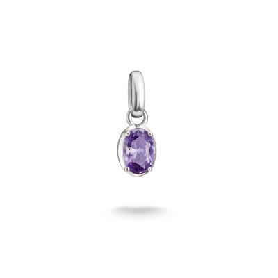 Charm-Einhänger THOMAS SABO "Birthstone/Geburtsstein Charm - Connect", lila (silberfarben, amethyst, amethyst), Charms, Damen, Februar, Silber 925 (recycelt), mit Zirkonia (synth.) oder Glas-Keramik Stein oder Türkis-Imitat
