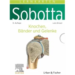 Bräuer:Sobotta Lernkarten Knochen, Bänd, Fachbücher von Lars Bräuer