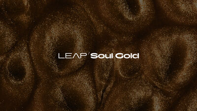Native Instruments Leap Expansion Soul Gold