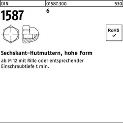 Sechskanthutmutter DIN 1587 M20 6 hohe Form25 Stück