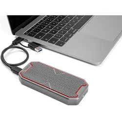 Delock Externes Gaming Gehäuse für M.2 N (M.2), Festplattengehäuse, Grau
