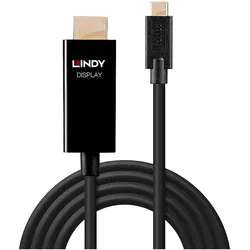 Lindy Videoschnittstellen-Converter (2 m), Videokabel, Schwarz