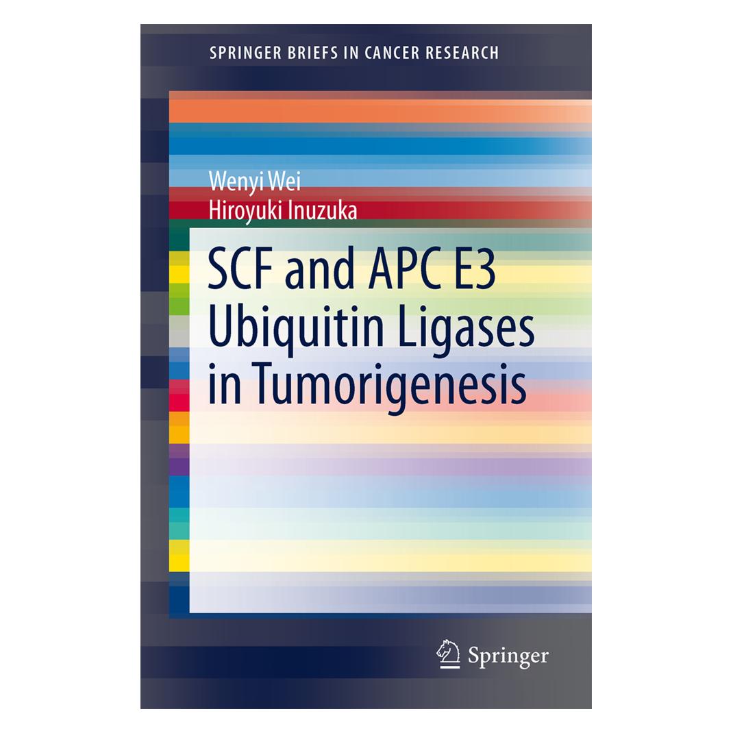 Springer SCF and APC E3 Ubiquitin Ligases in Tumorigenesis (Englisch, Softcover, Hiroyuki Inuzuka, Wenyi Wei) (55545888)