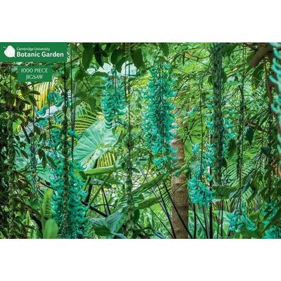 Jade Vine 1000 Piece Jigsaw Puzzle