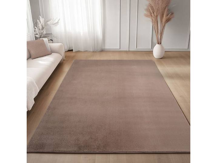 Carpettex Tapis Brun 200x280 cm  Lavable Tapis à Poils Courts Doucement Antidérapant pour Chambre Salon