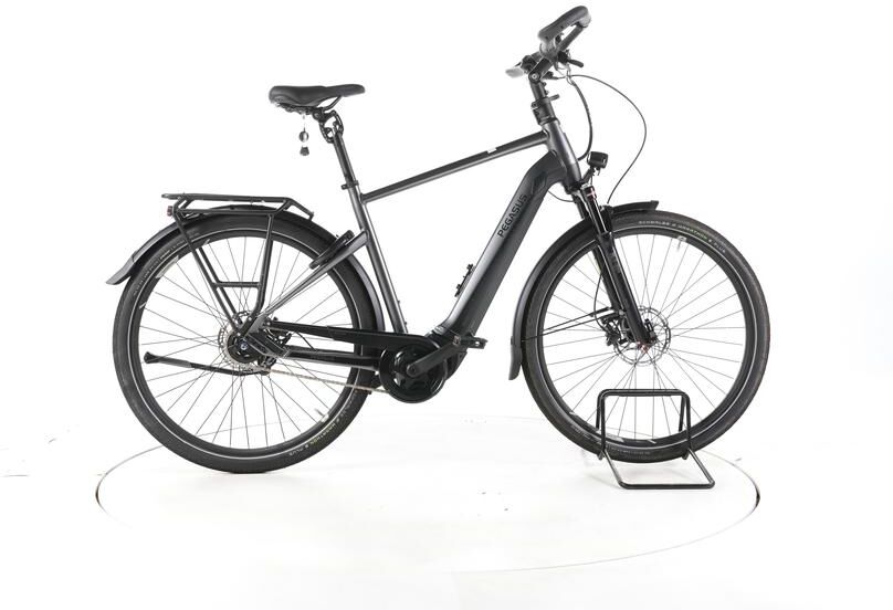 Pegasus Premio Evo 5 Lite Comfort Vélo Électrique Urbain - 297799