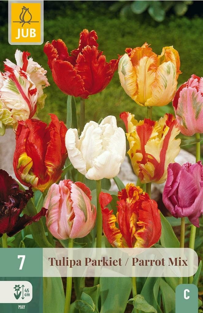 Jub Tulp parkiet mix 7 bollen