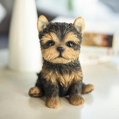 Hi-Line SoReal Brown YorkTerrier