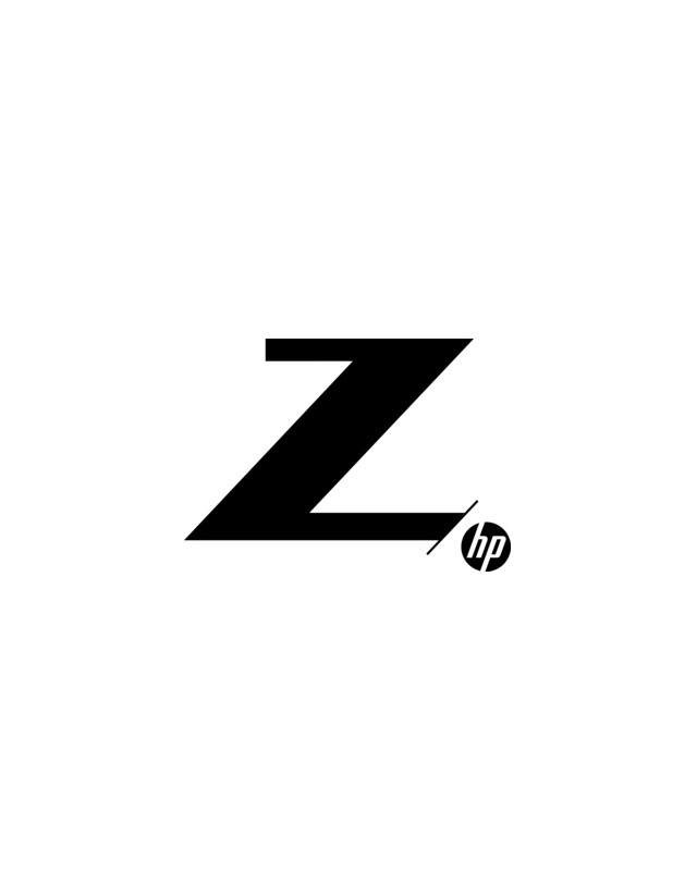 HP ZCentral Remote Boost 2020 FLT E-LTU CD (9TS61AAE)