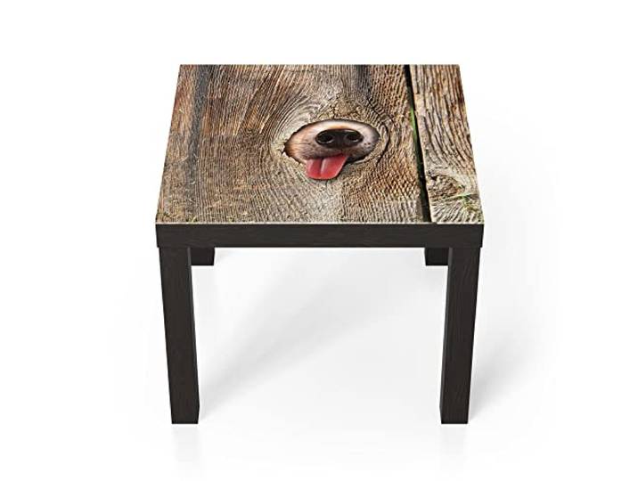 DEQORI Glastisch schwarz klein 55x55 cm Motiv Neugierige Hundeschnauze ausgefallener Beistelltisch aus Glas Hochglanz Couchtisch fürs Wohnzimmer moderner Couch Tisch mit Design
