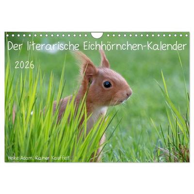 Der literarische Eichhörnchen-Kalender (Wandkalender 2026 DIN A4 quer), CALVENDO Monatskalender