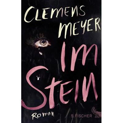 Im Stein, Gebundene Ausgabe von Clemens Meyer, S. Fischer Verlag