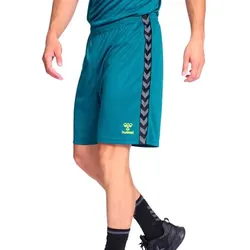 Hummel Authentic PL Shorts grün/schwarz