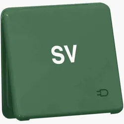 Peha Steckdose D80.6611KGLK GRÜN SV
