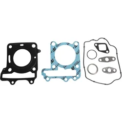 Artein Gaskets, Motorrad Zubehör, Kymco 125 Dink Grand Dink 2006+