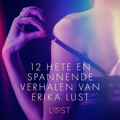 12 hete en spannende verhalen van Erika Lust - Sarah Skov,Beatrice Nielsen, Audio, 9788728183380
