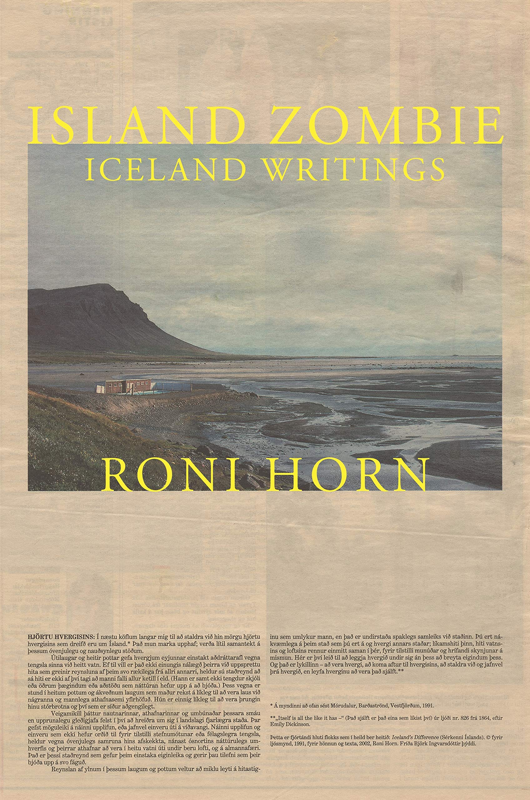 Roni Horn - Island Zombie: Iceland Writings - Preis vom 02.10.2026 23:42:20 h