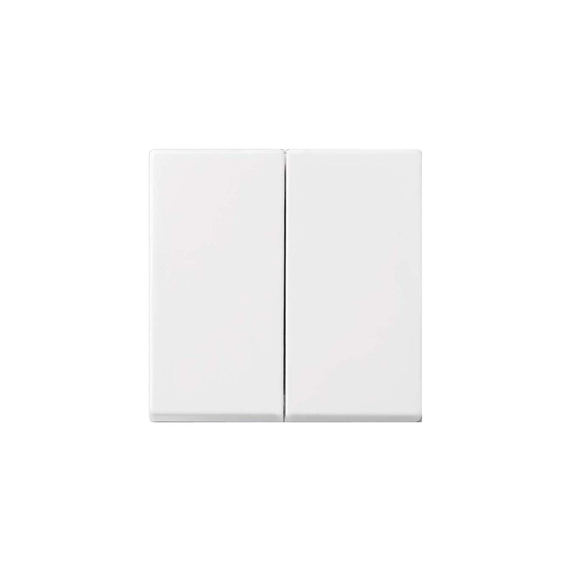 Busch-Jaeger Wippe aws Busch-balance SI 2505-914 (2CKA001731A2005)