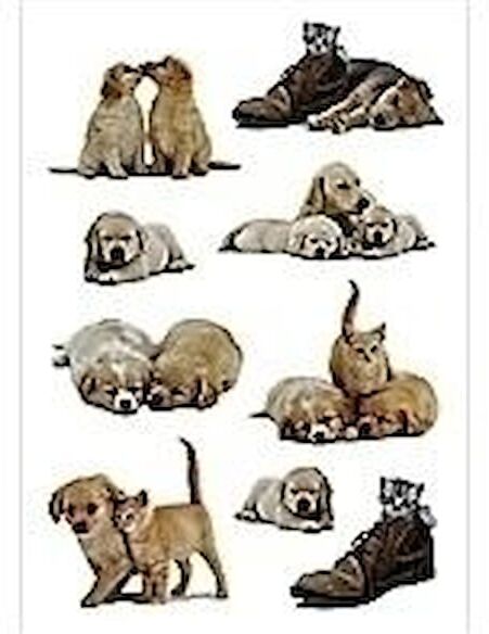 Herma stickers Decor hundvalpar (3) 10st