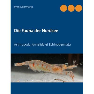 Die Fauna der Nordsee, Taschenbuch von Sven Gehrmann, BoD – Books on Demand, 978-3-7481-3851-8
