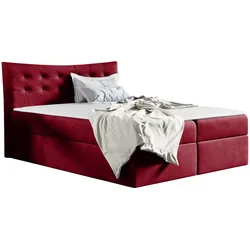 BOXBETT Havana - H3