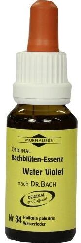 Bachblüten Murnauer Tropfen Water Violet