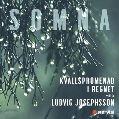 Kvällspromenad i regnet - Helena Kubicek Boye, Audio, 9789179097974