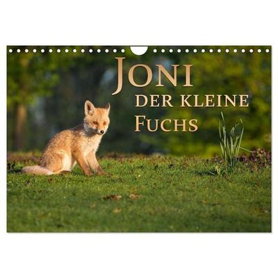 Joni, der kleine Fuchs (Wandkalender 2026 DIN A4 quer), CALVENDO Monatskalender