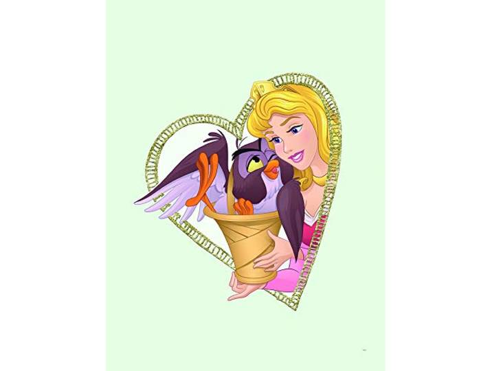 Komar Poster d'art Mural\, 30cm x 40cm\, Aurora & Owl